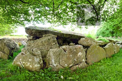 VR of Labbacallee Wedge Tomb