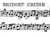 bridgetcruise