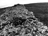 Fort Walls