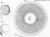 Details of Columns, 1698