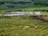 Cloghanmore in Distance
