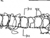 Souterrain Plan