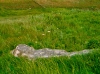 Stone of the Request