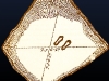 St. Columb\'s Stone Diagram