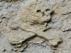 Skull and Crossbones