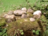 Bullaun and Cursing Stones