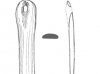 Bone and Pottery Objects