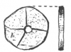 Excavation Finds