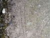Volute on Gravestone