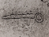 Volute