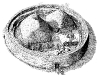 Loher Illustration