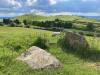 Cairn P