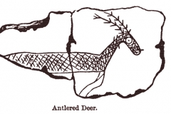 Antlered Deer