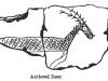 Antlered Deer