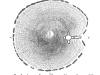 Cairn T Plan