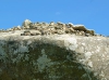 Stones On Top