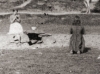 Doon Well 1900