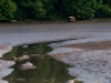rostellanriver