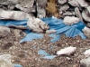 Covered Excavation