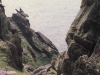Christ's Saddle