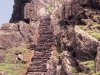 Steps