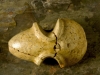 Battle-Axe