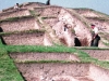 Excavation in Progress