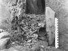 Cremated Bone