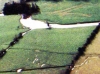 Ancient Roadway