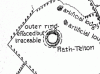Teltown Map
