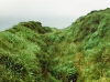 The Ditch of Mhóire