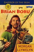 Brian Boru novel