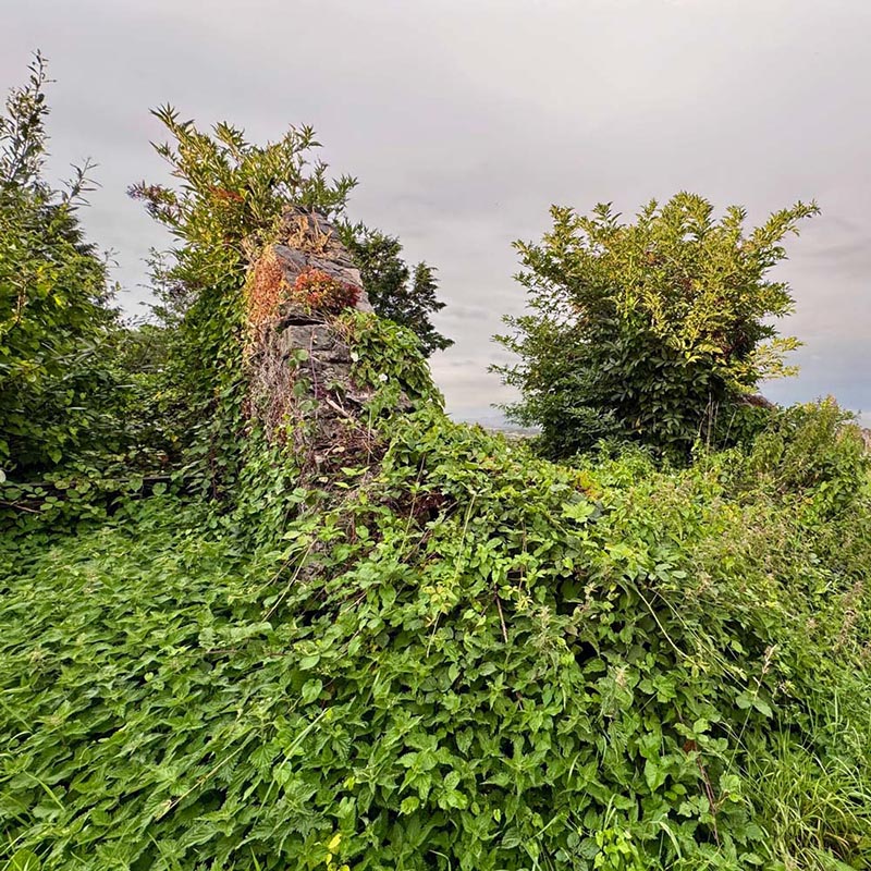 In local folklore, every attempt to put the roof on Byrne's mausoleum was thwarted by supernatural forces. (Pádraig O'Cumascaigh)