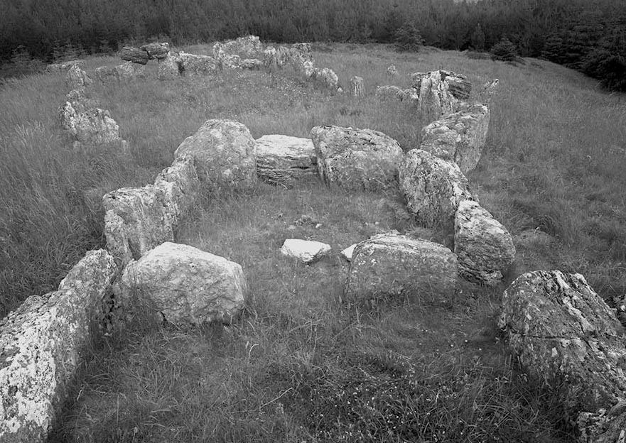 Deerpark Court Tomb