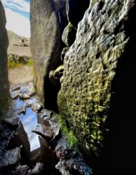 View from the inside.